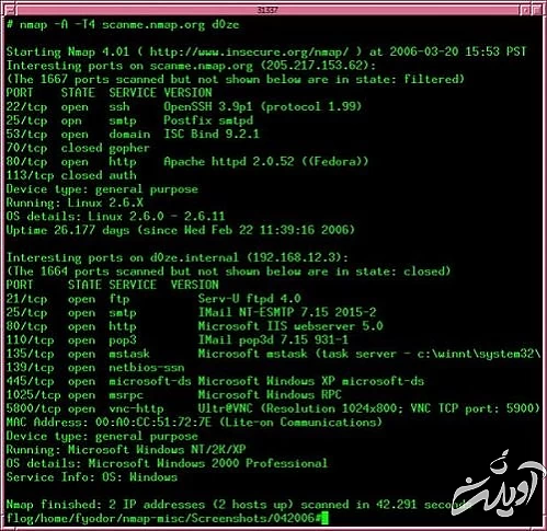 Nmap چیست و چرا شما به چنین ابزاری برای نقشه‌برداری شبکه نیاز دارید؟